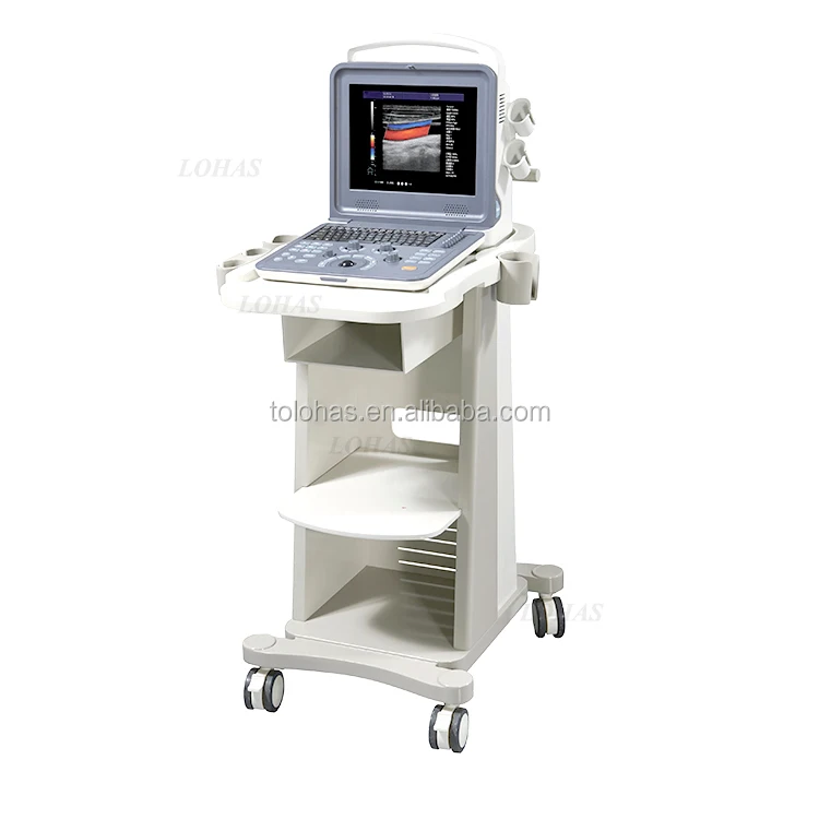 LHK2V Hospital 4D Veterinary Ultrasound Machine Pet Ultrasound Machine Ultrasound Machine China for Animals