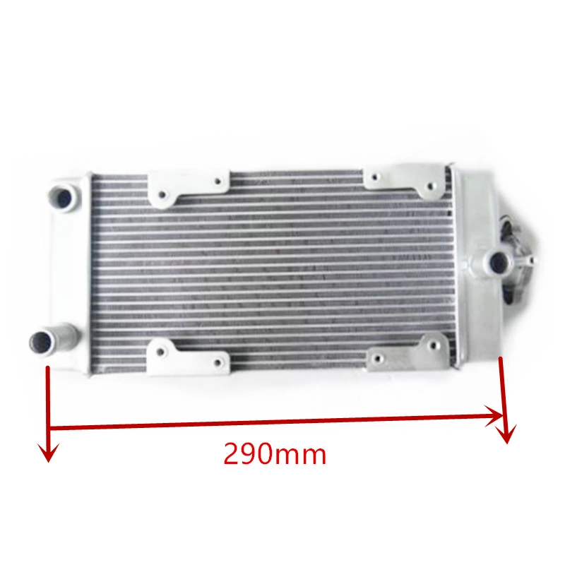 Motorcycle Engine Parts Water Cooler Radiator For Regal Raptor DD250E-9A DD250E-9B DD250G-2N DD350E-6C 250cc 350cc Engine