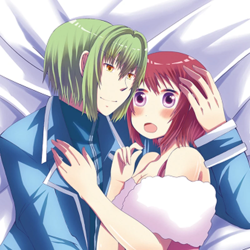 

Anime Dakimakura Pillow Noel Seeker 2-Side Print Pillowcase Hugging Body Cushion Cover Otaku Waifuristmas Decoration