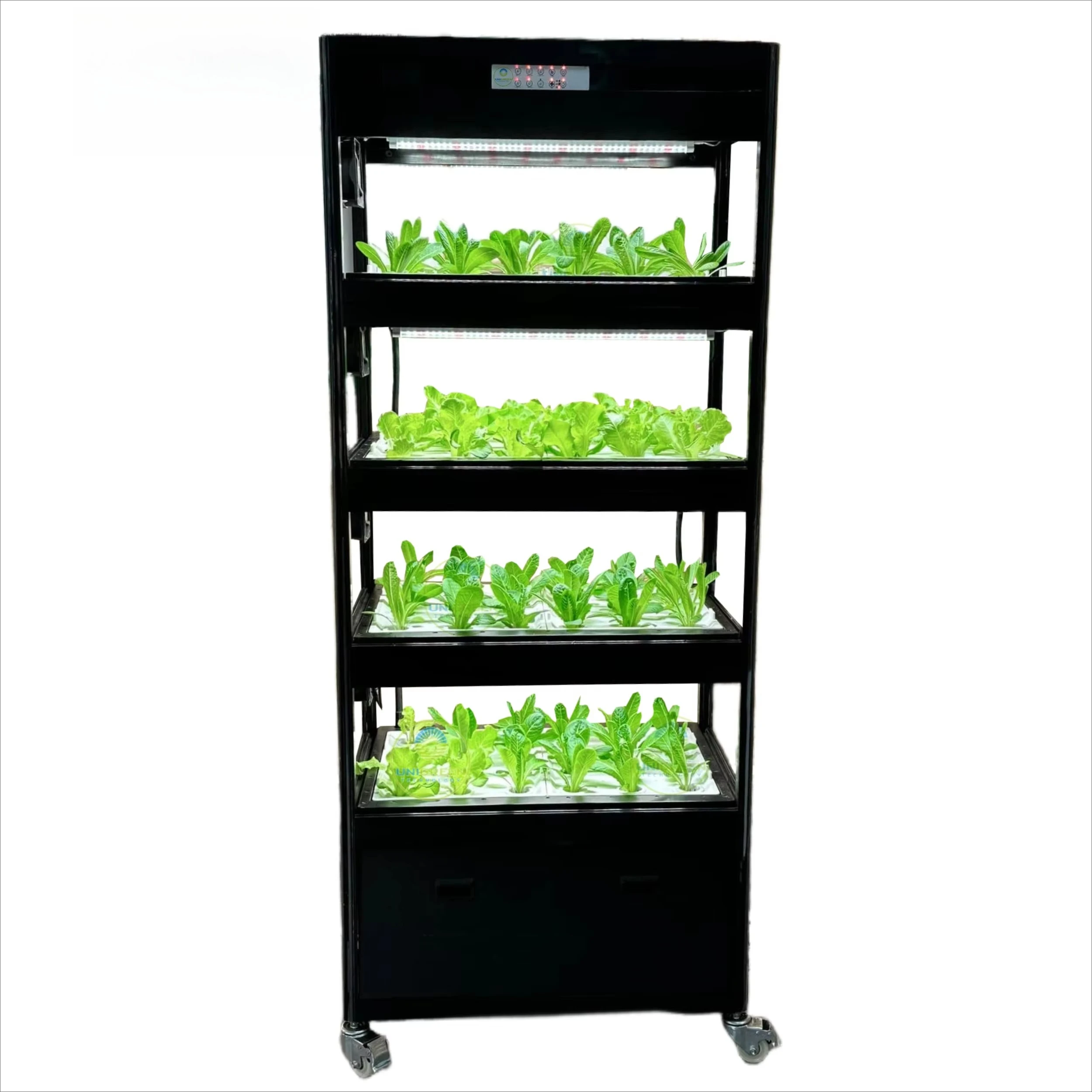 Hydroponic System Vertical Cabinet Deep Water Kit Customized Modular Movable Planting Kit for Lettuce Office and Greenhouse