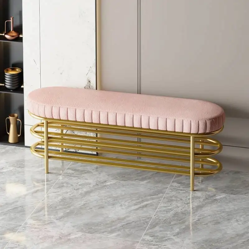 

Living Metal Shoe Cabinet Luxury Nordic Designer Room Garden Makeup Shoe Shelf Replica Vertical Zapatero Entrance Furniture
