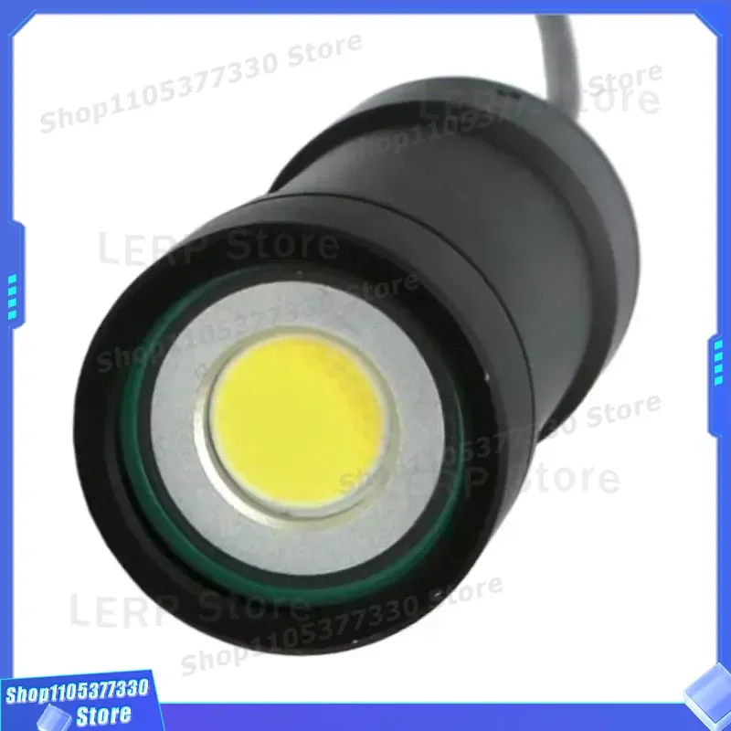 IP68 Waterproof LED Underwater Light 10W 20W 50W 100W Adjustable Steel Housing Deep Sea Submersible Lamp for Pool Fountain