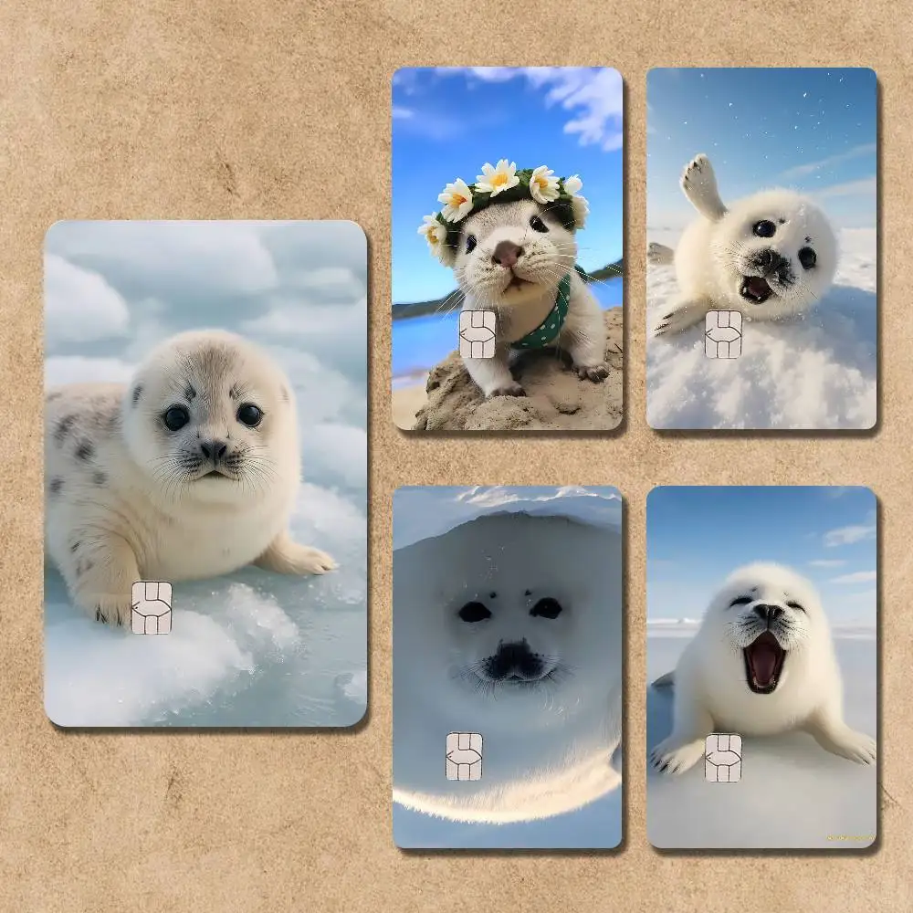 

Seal Animal Cute Name Card Sticker Decorate Bank Card Couple Student Study Supplies Decals Patch Documents Birthday Gift