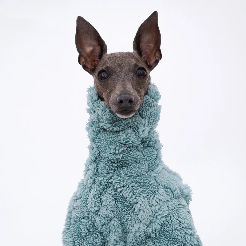 Dog Clothes Winter Warm Italian Greyhound Clothes Polar Fleece Whippet Clothes Turtleneck Lingtons Clothes Dog Warm Clothes