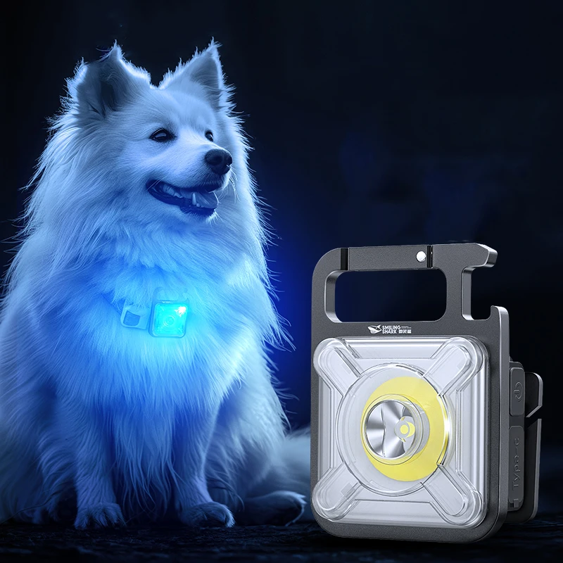 Collar brillante para mascotas, colgante LED, luz para caminar para perros, luces nocturnas para gatos y perros, recarga de luz antivibrante