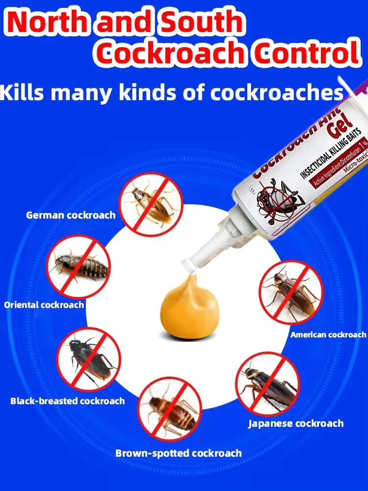 cockroach/ant removal