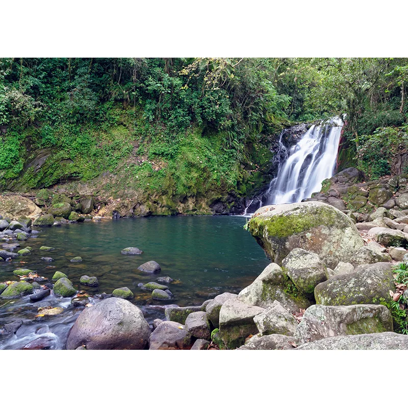 自然な風景写真の背景、春の風景、ポートレート写真の背景、滝の小道具、21110wai-05