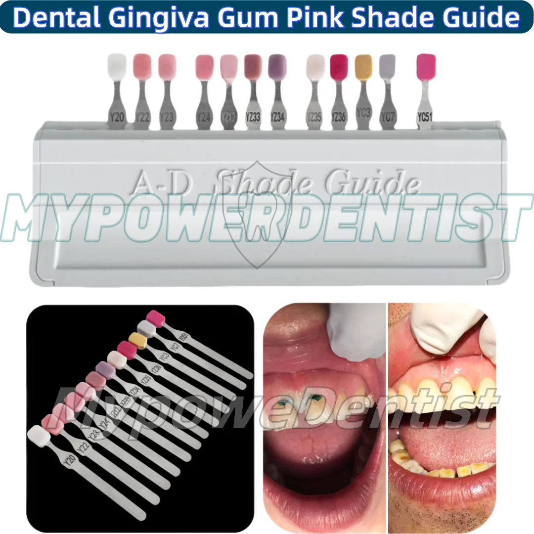 12Colors Dental Composite Gingiva Resin Gum Tissue Restoration Aesthetic Pink Shade Guide