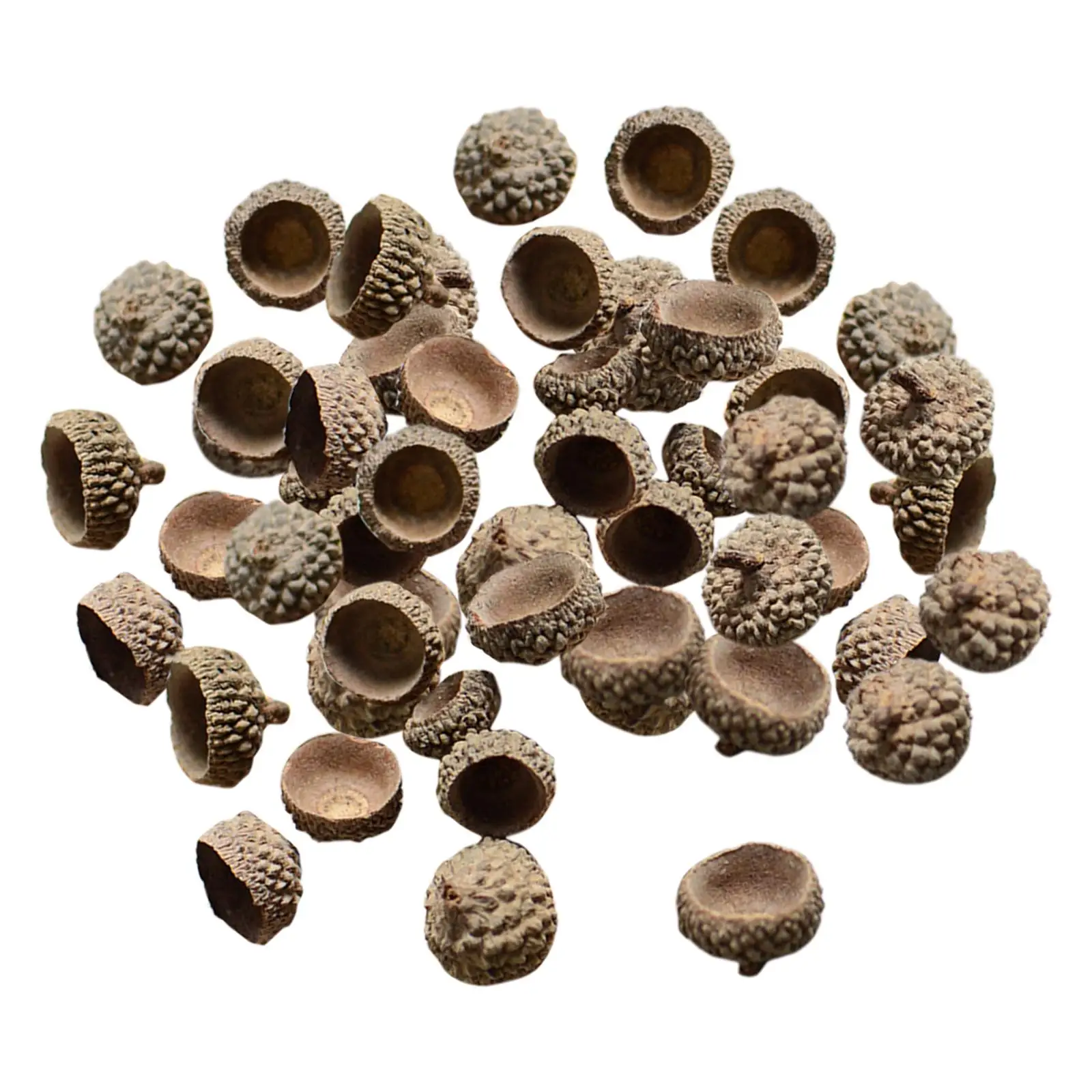 

100 шт., натуральные желуди, объемные шапки в деревенском стиле, желуди, домашняя свадьба, сделай сам, Рождество