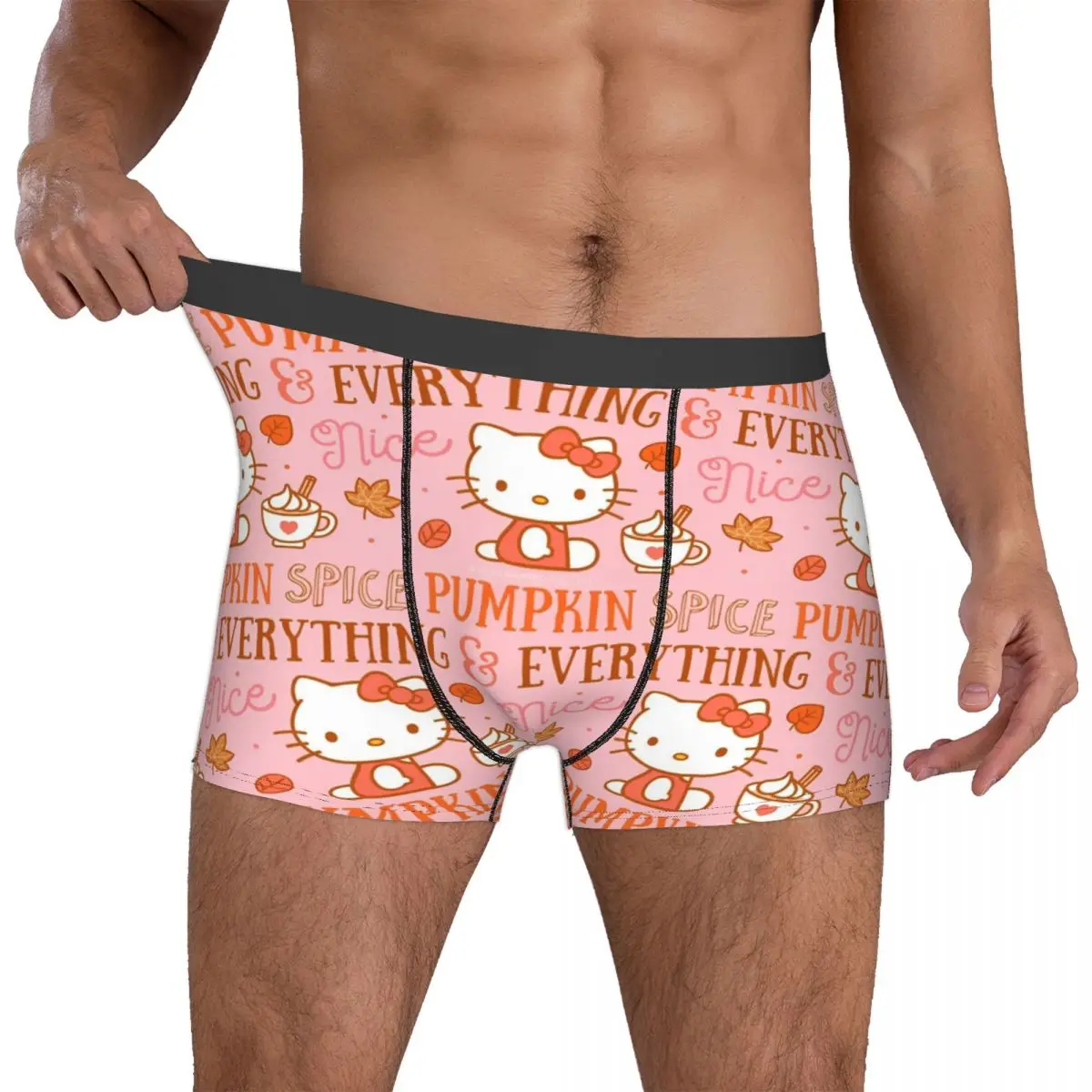 Custom Hello Kitty Pumpkin Spice Everything Boxer Merch Boxers Briefs Underwear Boxer Briefs Gag Cozy Quilt Underpants Gift Man