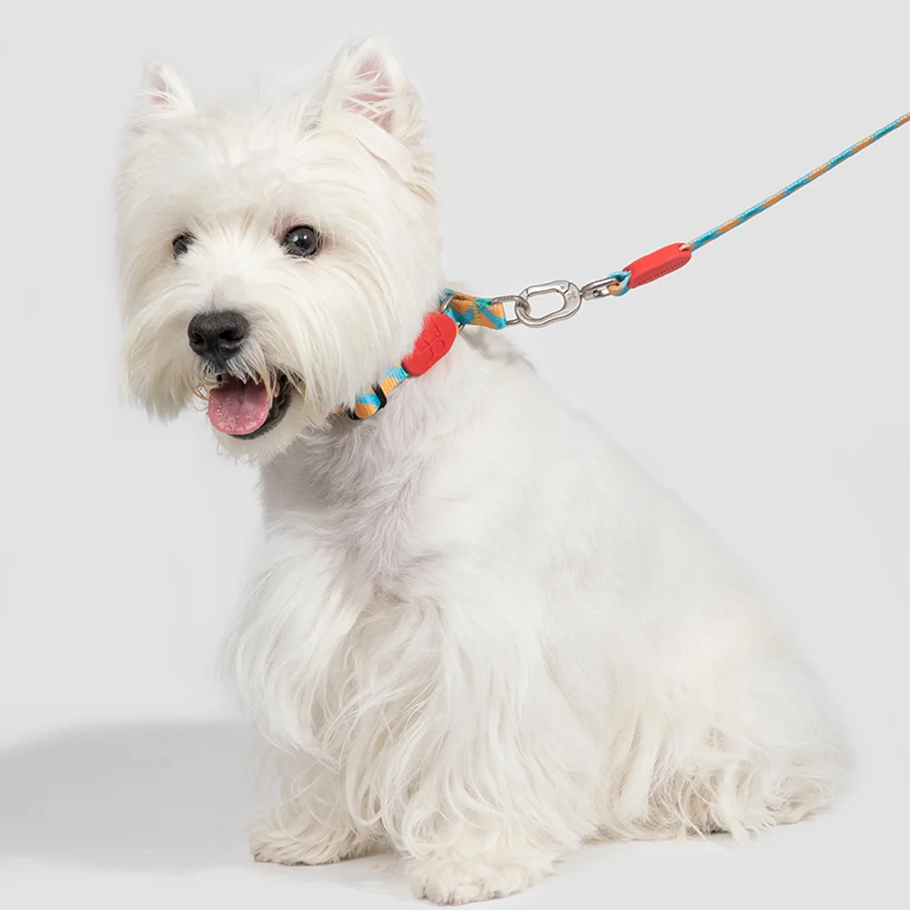 Dog Leash And Half P Collar Reflective Strong Choker Training For Small And Big Dogs Anti Pull Plaid Polyester Adjustable Leash