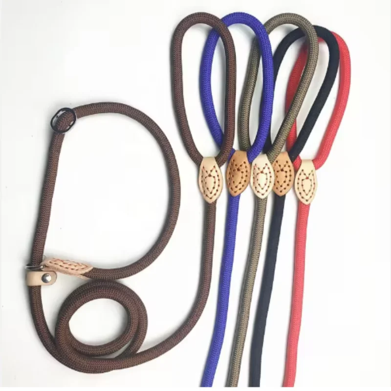 New Heavy Duty Dog Leash Slip Rope Lead Adjustable Braided Loop Collar Training Leash for Small to Medium Dogs