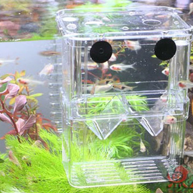 Double-layer transparent fish breeding isolation box aquarium breeder fish tank incubator fish house household