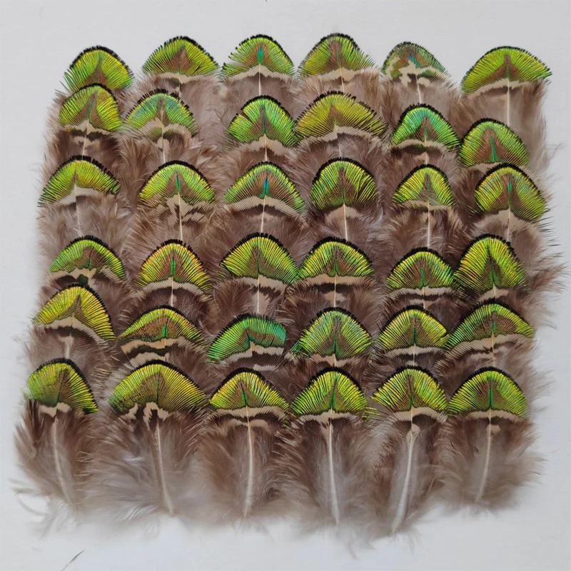 

100pcs/Lot 4-7cm long NATURAL Gold PEACOCK PLUMAGE FEATHERS-Veren,Crafts DIY,Fly Tying Material,Fascinators