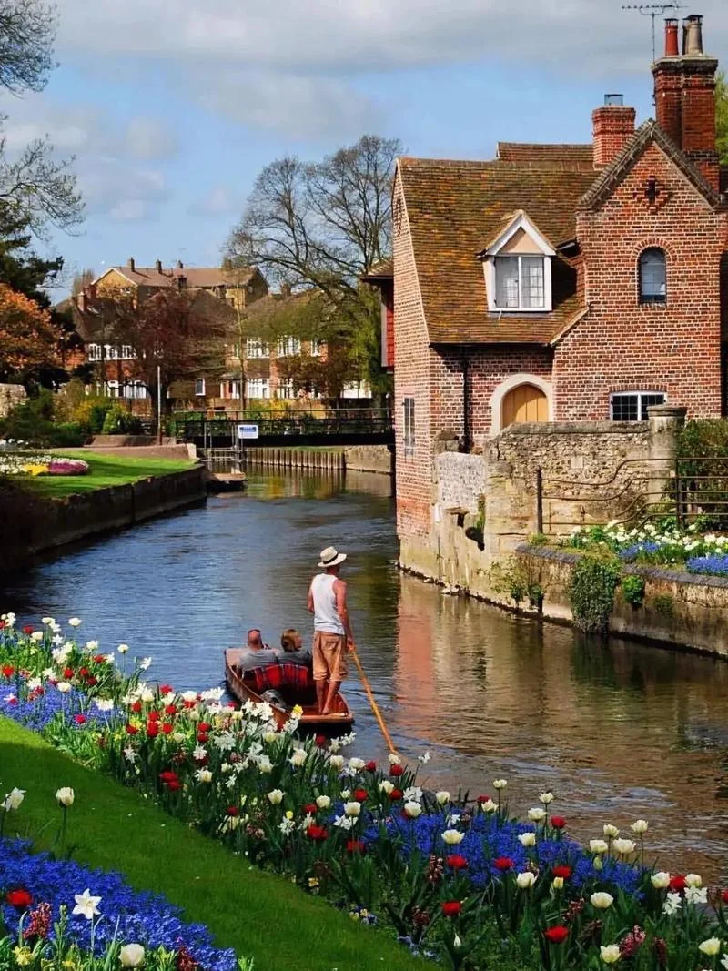 

Профессиональный аппарат для гидрорадиочастотной чистки лица, кислородной очистки, лифтинга и микродермабразии для салонов красоты и SPA.