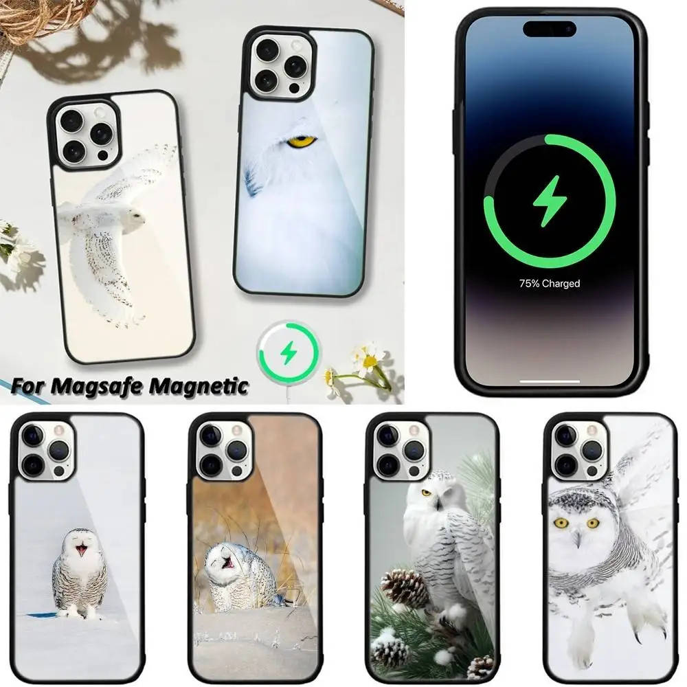 

Cute Owl Phone Case For iPhone 16,15,14,13,12,11,Plus,Pro,Max,Mini Magsafe Magnetic Wireless Charging