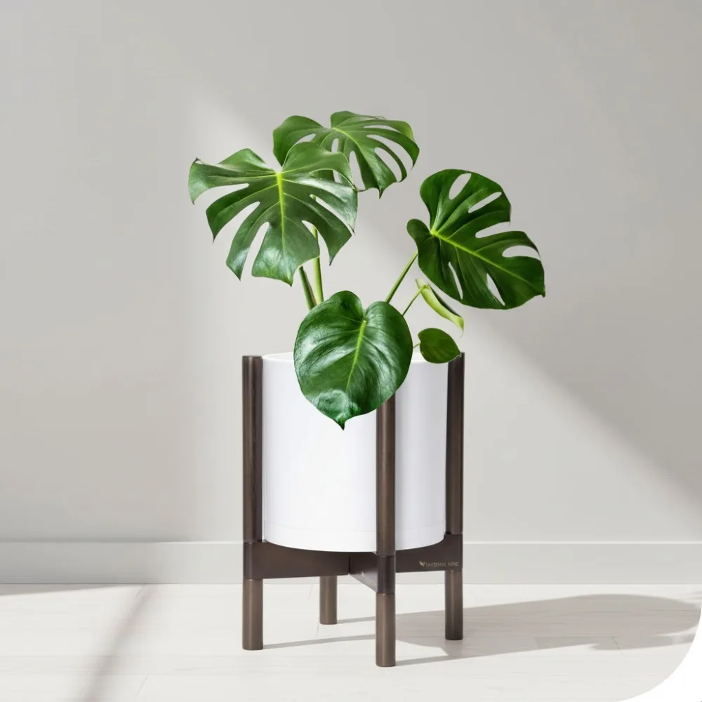 

10 Inch Modern Cylinder Flower Pot with Wood Stand - Indoor Plant Planter for Home Decor, Matte White & Walnut