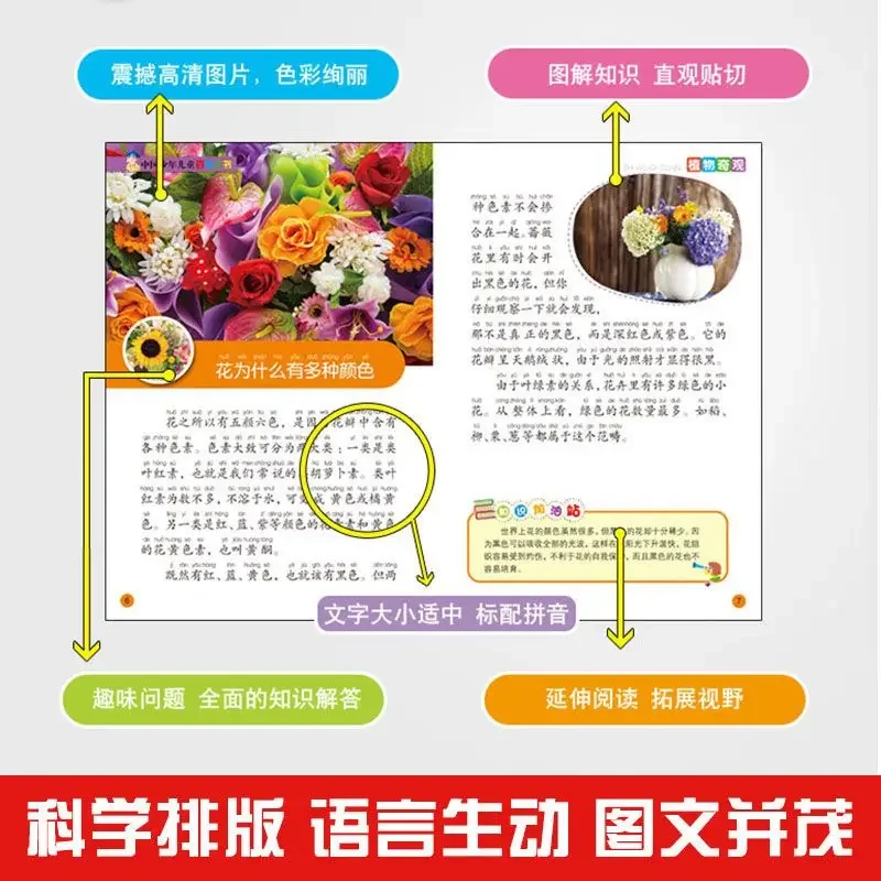 Imagem -04 - Zhuyin Livros de Leitura Extracurricular para Crianças Livros Perguntas para Alunos do Ensino Fundamental com Idade entre a 12 10000 o Que Todos os Volumes