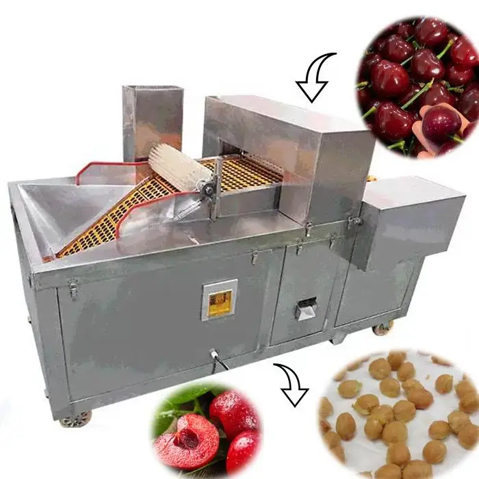 

Hot Selling Customized Olive & Peach Pitting Machine Multifunctional Cherry Pitter with Motor 2.2Kw Power)