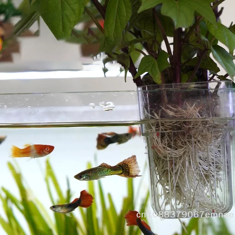 Wall-Mounted Transparent Hydro - огляд і ціна Aquarium Planted Tank Setup