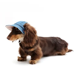 Dog Hat Dachshund Sunscreen Cap Baseball Cap Outdoor Sports Hat Ear Holes Adjustable Pet Cap for French Bulldog Yorkie Poodle