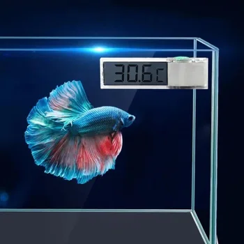 Digital Aquarium Thermometer 1