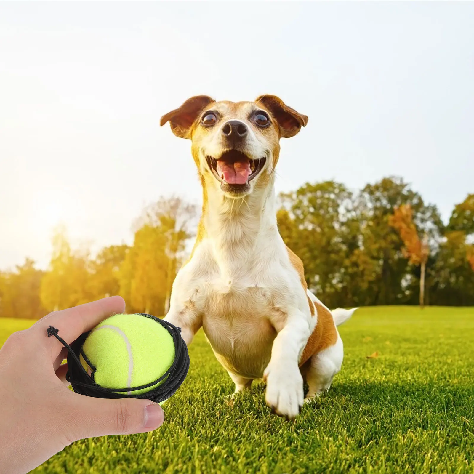 

2Pcs Tennis Training Balls Multifunctional Rubber Pet Dog Tennis Ball Plaything Exercise Training Dog Toys Bulk