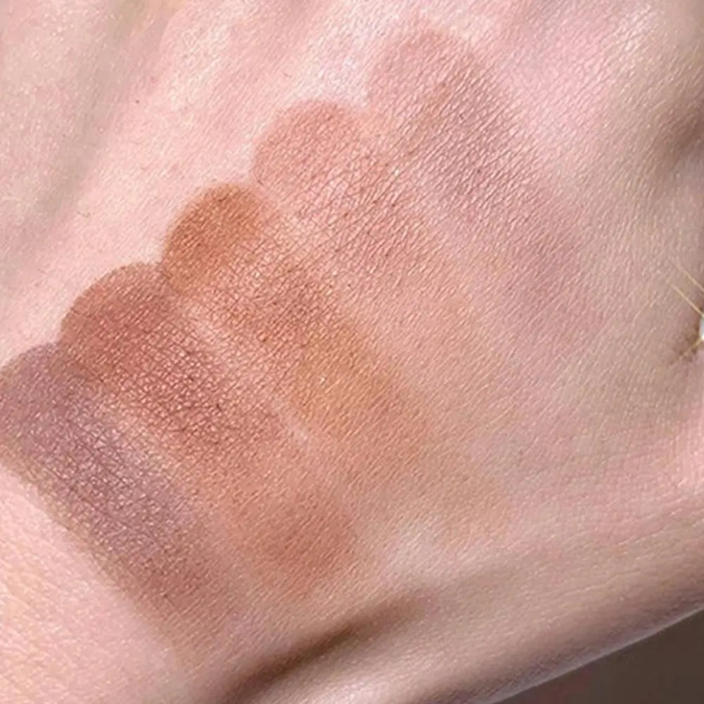 Paleta de sombras de ojos, pigmentos de sombra de ojos brillantes, Color tierra mate, neutro