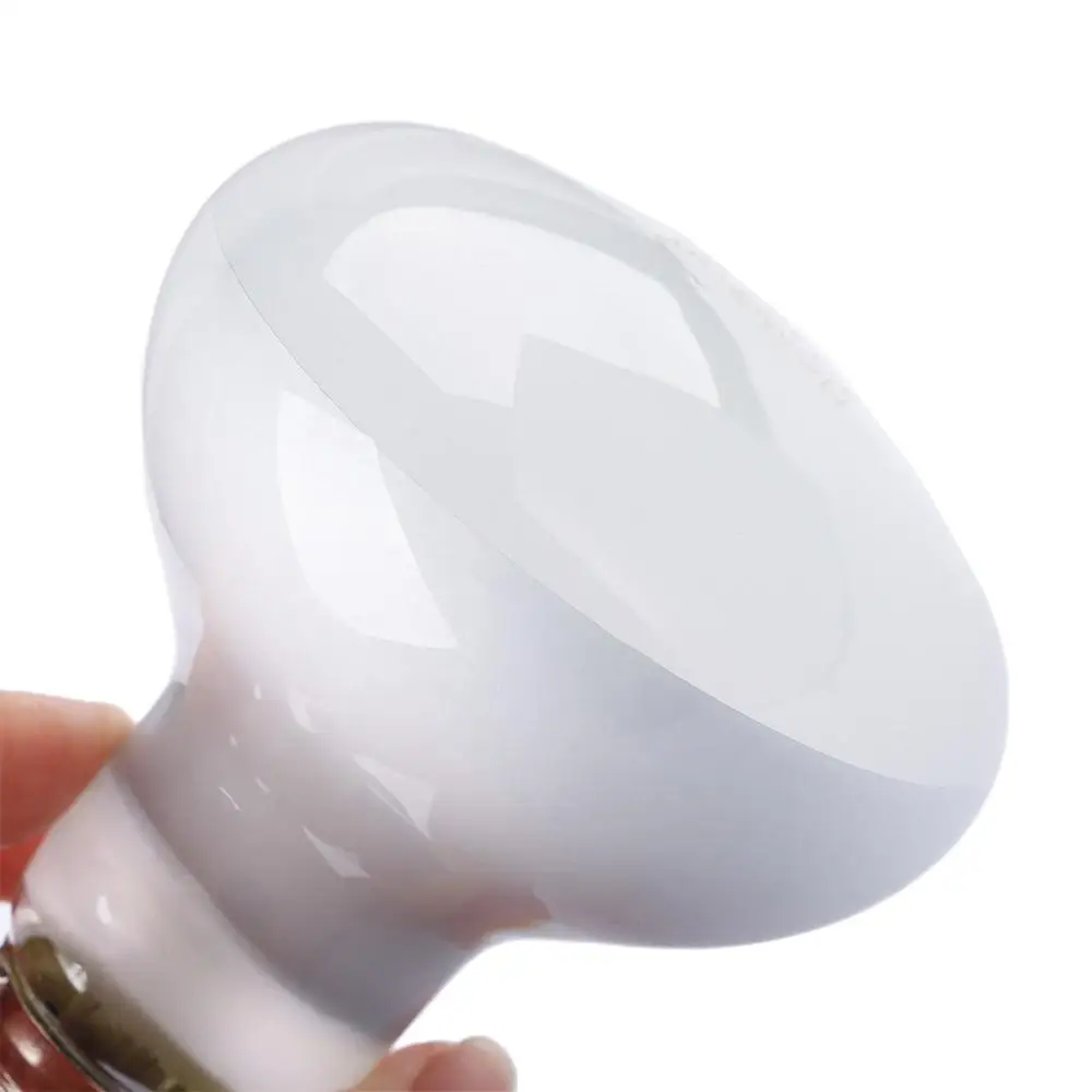 Lizard Heat Lamp Temperature Controller Halogen Bulb UVA Light Reptile Basking Light