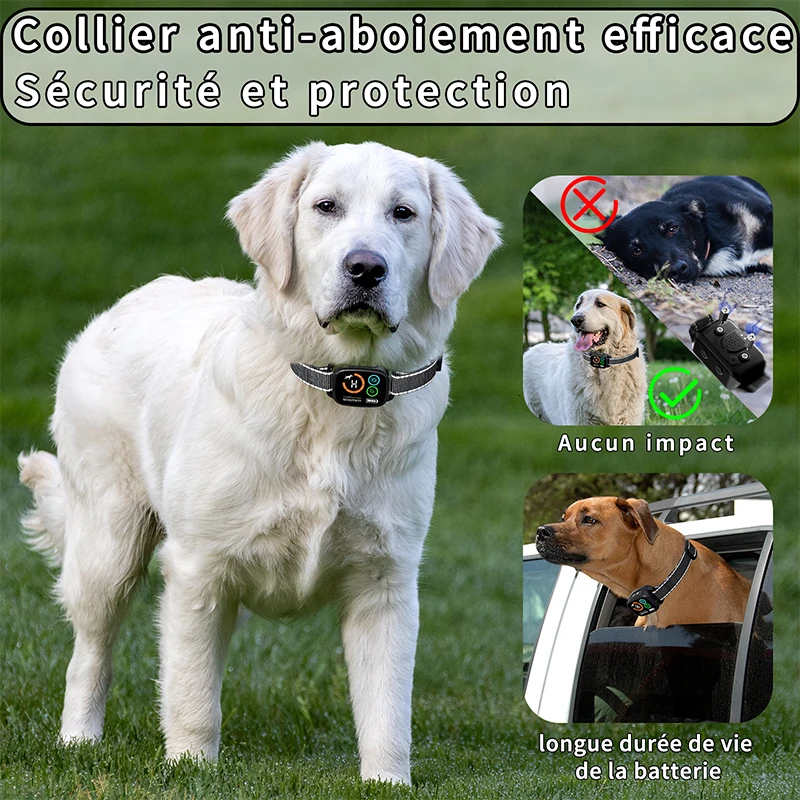 Thumbnail 2 - #8 Trending LED Dog Collars Right Now