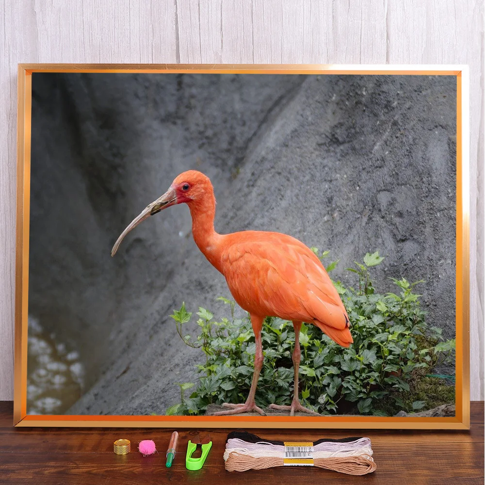 

American Scarlet Ibis Printed Cross Stitch Set Embroidery Needlework Painting Handicraft Knitting Different Package Room Decor