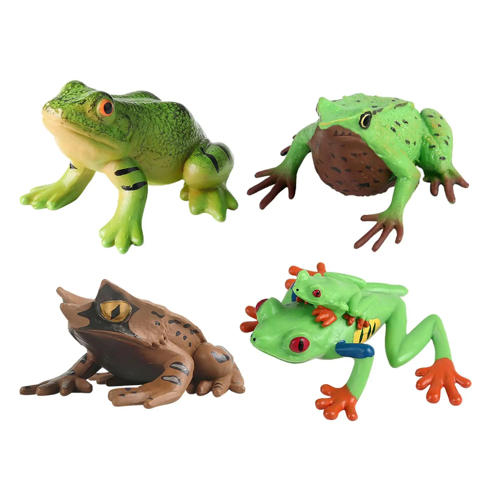 Frog Figurine Educational Collection Animal Model Toy for Party Decoration Bath Toys Party Favors Micro Landscape Teaching Aids