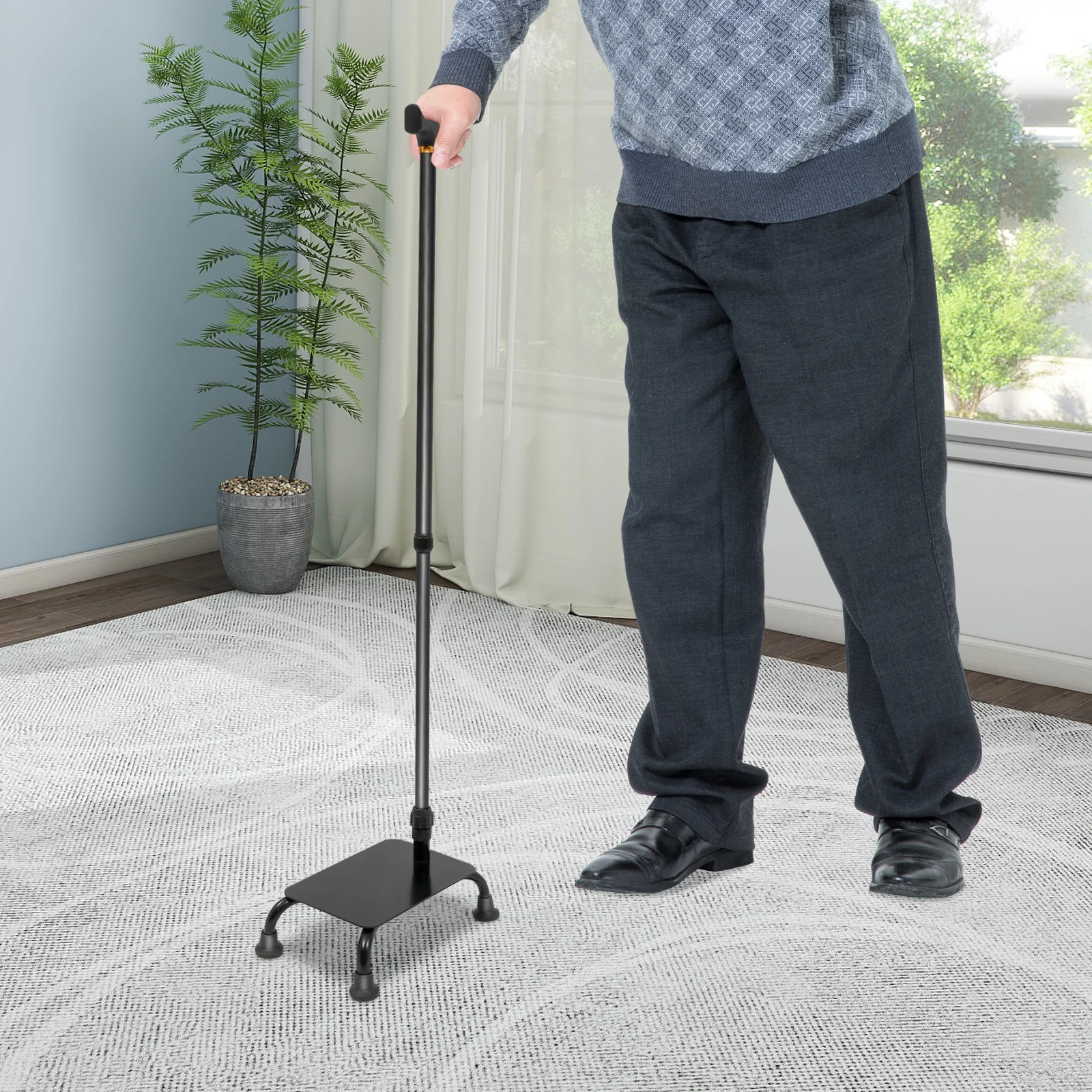 

Walking Stick Stair Aid for Elderly Walking Aid for Seniors Height Adjustable for Elderly, Stair Aid, Portable Stair Lifter for