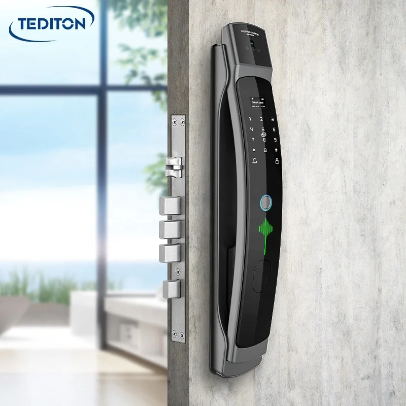 Tediton Smart Home Automatic 3D Face Recognition Wifi Fingerprint Smart Door Lock