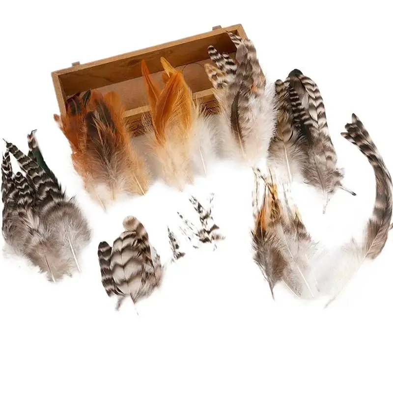50Pcs/Lot Colored Rooster Feathers For Crafts Black Chicken Decoration Needlework Pheasant Feather Dream Catcher Plumes Decor
