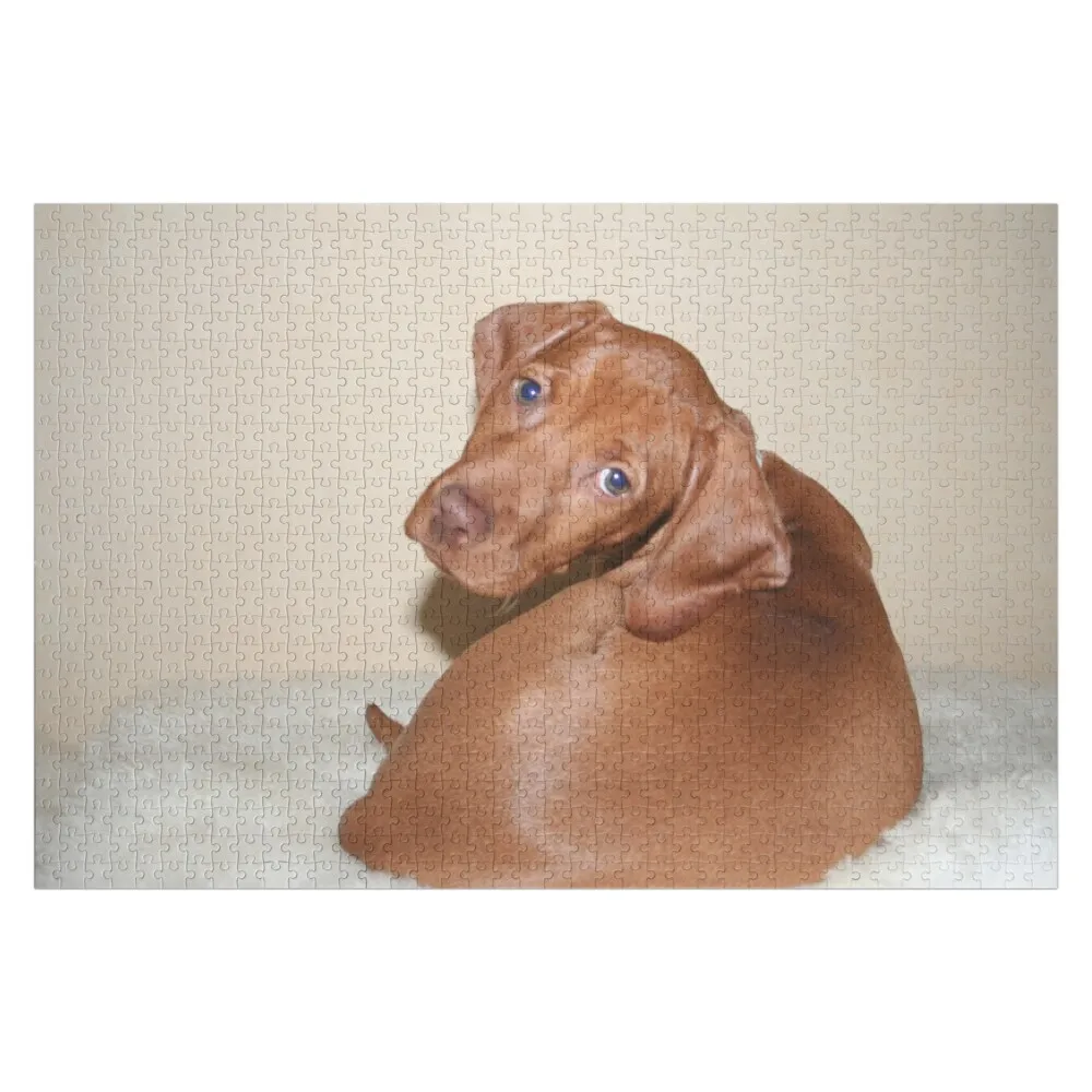 

Hungarian Vizsla puppy - looking over shoulder https://edinburghartist.gallery Jigsaw Puzzle Baby Wooden Wooden Adults Puzzle