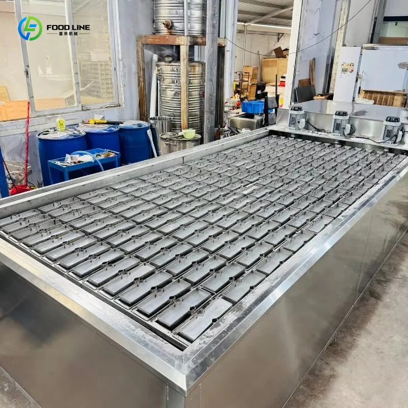 Stainless Steel Air-cooled Block Ice Maker, 500kg/1Ton Industrial Ice Machine Equipped with Brine Motor for South African Market