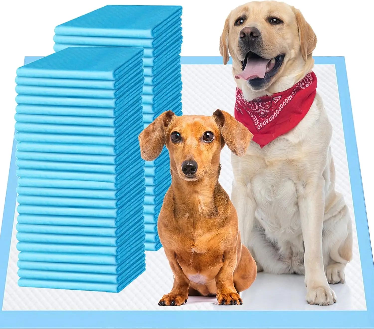 

Upgrade Leak-Proof Pet Training and Puppy Pads, Jumbo Pee Pads for Dogs with Thicken Polymer Heavy Absorbency, Quick Dry Disposa