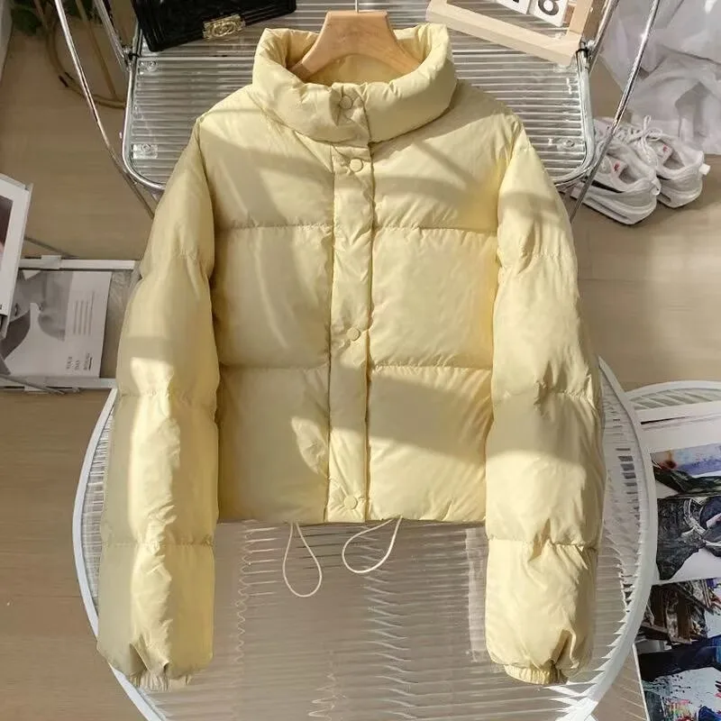 Korean Style Vintage Brown Short Jacket Woman Fashion Warm Long Sleeve Parkas Woman 2026 New Autumn Winter Hooded Puff Coats