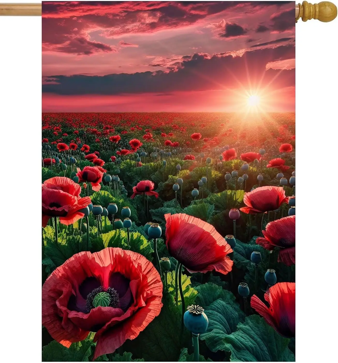 Red Poppy Field Pop… - image