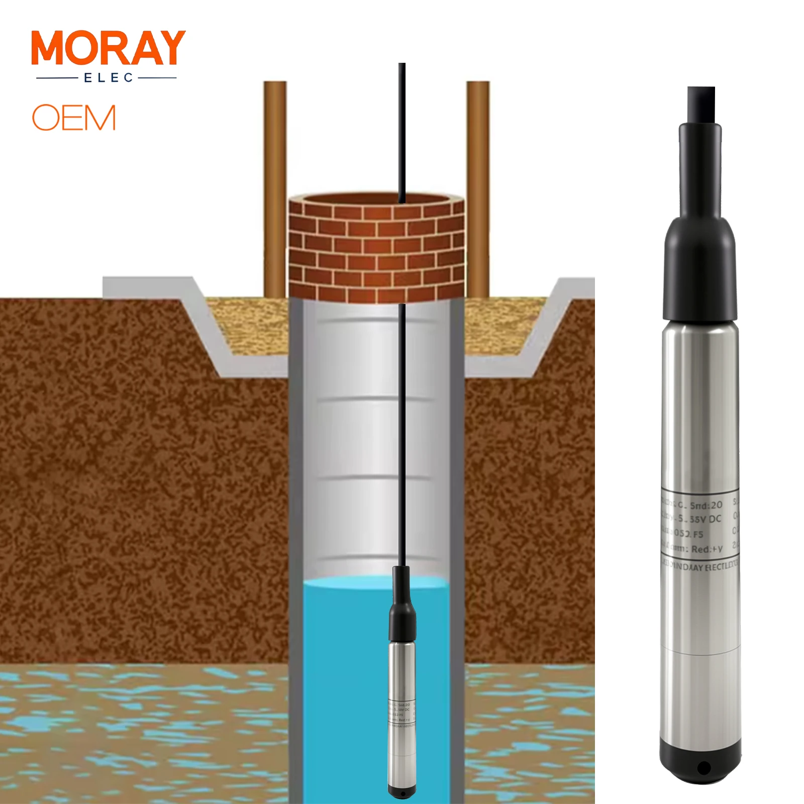 Moray ME402W Small …