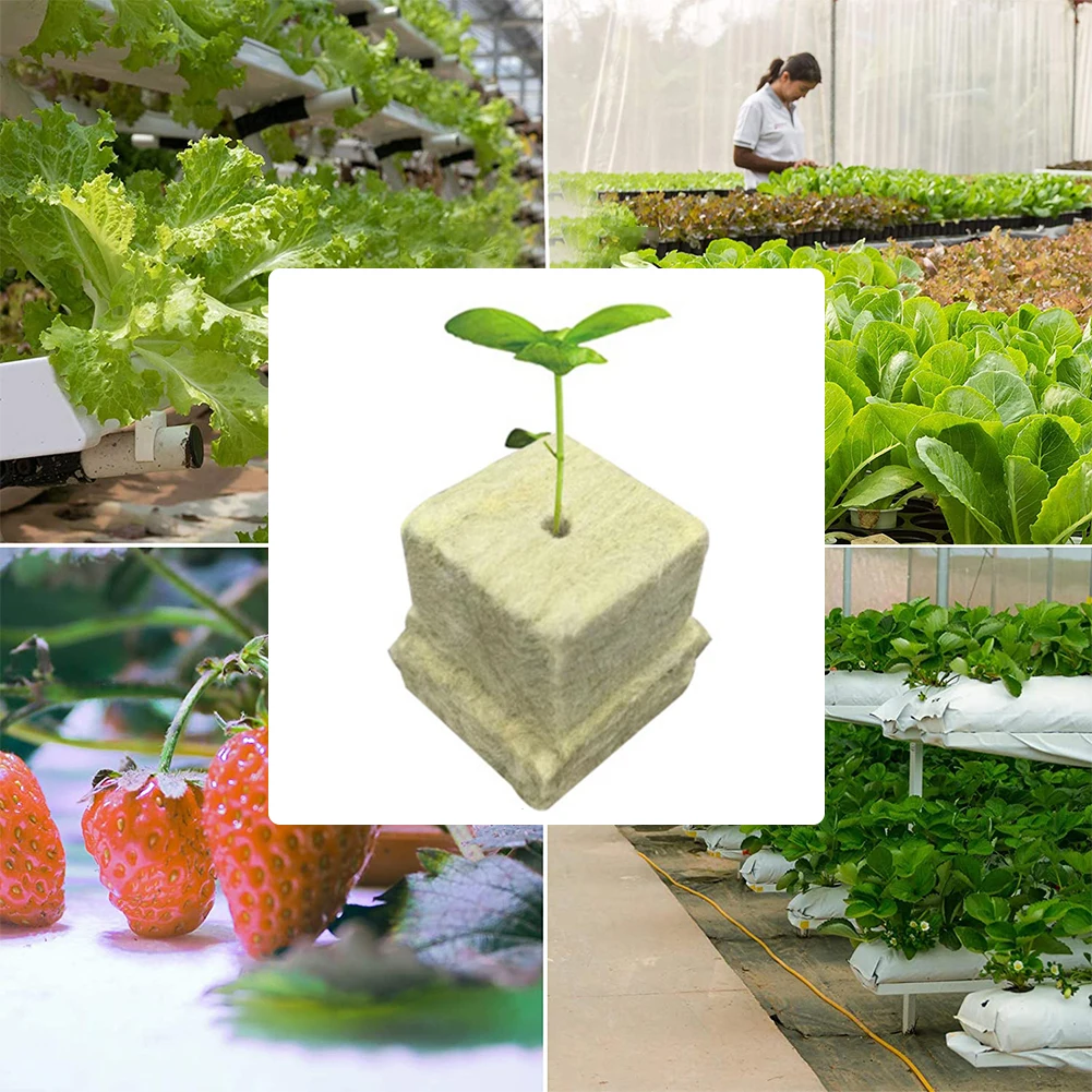 100pcs Rock Wool Seed Starters Cloning Cubes Ventilative Hydroponics Seed Seedling Grow Block Multipurpose for Plant Propagation