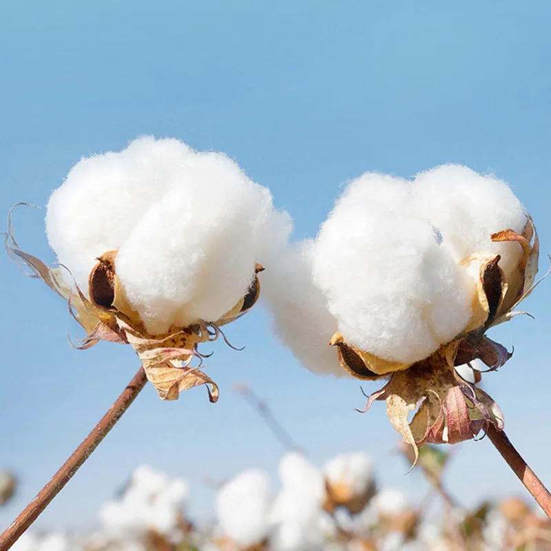 30*70 سنتيمتر 5 قطعة المتاح ماصة لينة الدانتيل الأبيض المناشف القطنية المطاعم الشعر الفنادق المنزل الجمال تدليك صالون المناشف اليومية