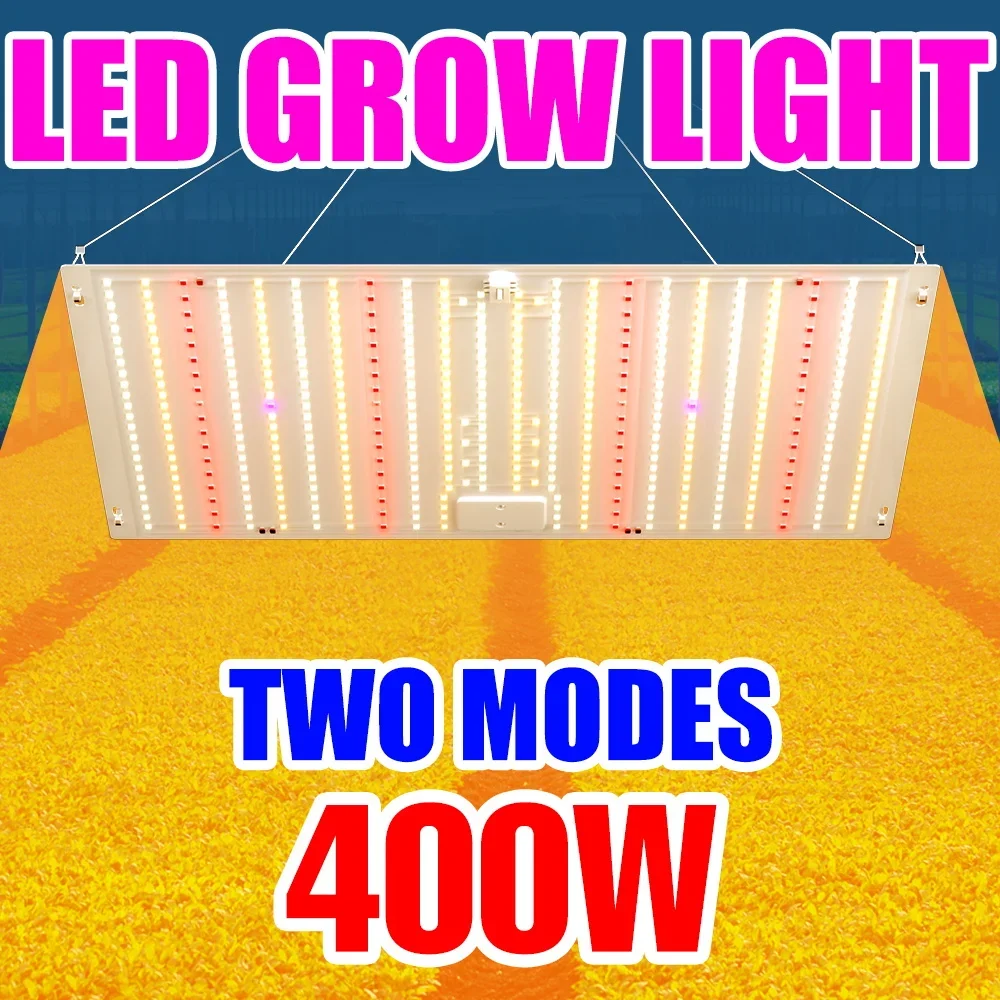 

400W Full Spectrum Grow Light LED Indoor Quantum Board Plant Fill Lights Greenhouse Tent Potted Fruits Seed Cultivation Lighting