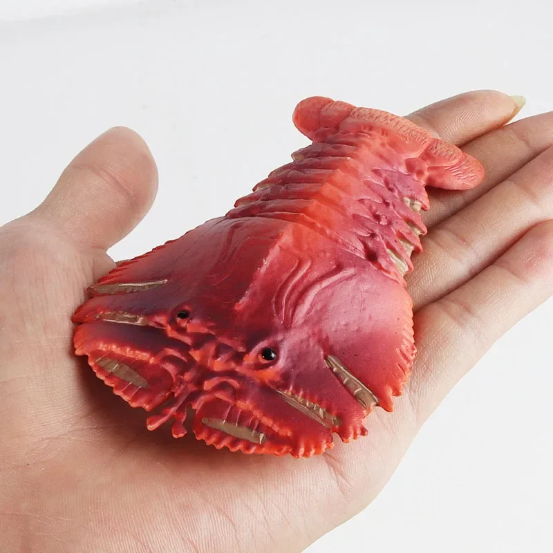 Simulazione animali marini medievali Opabinia Slipper Lobsters Anomalocaris Action figurine oceaniche giocattolo educativo regalo