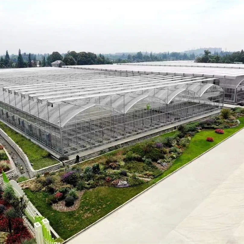 دفيئة مخصصة متعددة المدى بولي نفق فيلم الدفيئة مع نظام الزراعة المائية للمعدات الزراعية للبيع