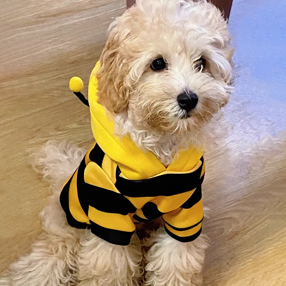Thumbnail 4 - #66 Trending Pet Apparels Right Now
