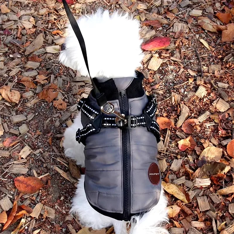 

Carrier Dog Cotton Coat Teddy Winter Clothes Bichon Solid Color Vest Small Dog Thickened Warm Down Coat Pet Zipper Shirt