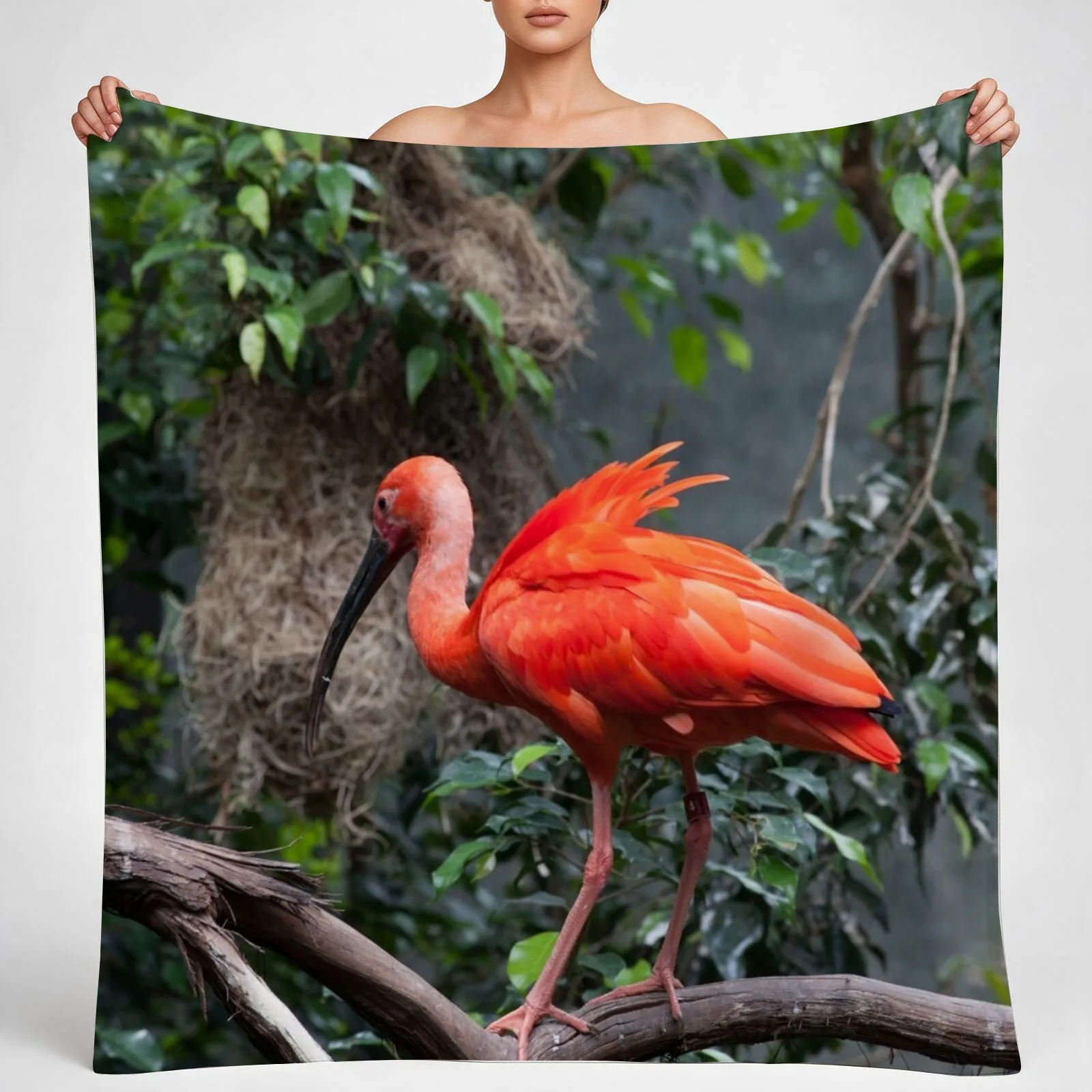 Scarlet Ibis perched on a vine Throw Blanket couch cozy soft plush fuzzy picnic outdoor blanket