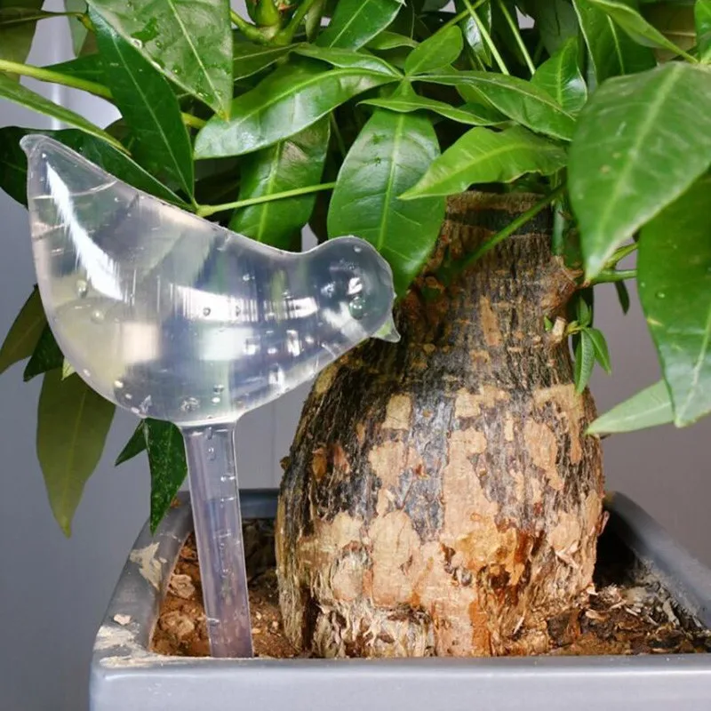 Auto Drip Irrigatio…